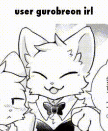 a cartoon of a cat with a colorful head and the words `` user gurobreon irl '' .