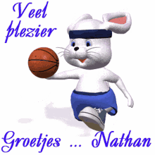 nathan rabbit