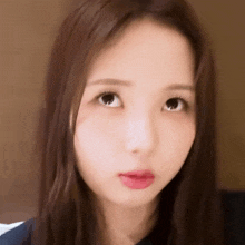 a close up of a woman 's face with long brown hair