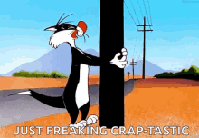 Sylvester Cat GIF - Sylvester Cat Looney Toons GIFs