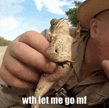 a man holding a frog with the words " wth let me go mf " written on the bottom