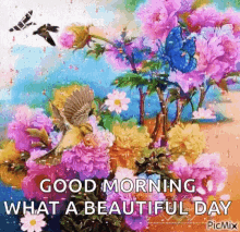 Good Morning What A Beautiful Day Flowers GIF - Good Morning What A Beautiful Day Flowers Birds GIFs