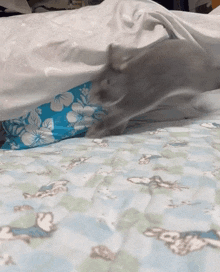 a cat laying on a bed with a blue pillow
