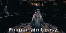 Dumbledore Albus Percival Wulfric Brian Dumbledore GIF