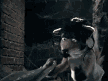 Mongrels Cleaning GIF - Mongrels Cleaning Break Free GIFs