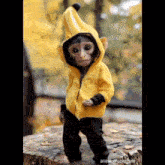 a baby monkey is wearing a yellow banana hat