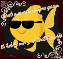 vec50zon gold fish glasses smile