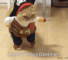 Pirate Cat GIF
