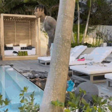Dive In Swae Lee GIF - Dive In Swae Lee Go In The Water GIFs