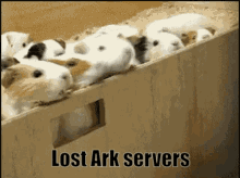 Lost Ark Servers GIF - Lost Ark Servers GIFs