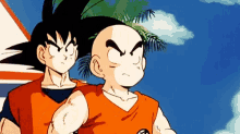 Dbz Goku GIF - Dbz Goku Krillin GIFs