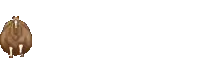 a brown horse is standing on a white background .