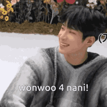 nani revepopper wonwoo seventeen