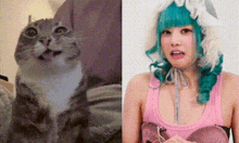 a cat and a woman with green hair are shown side by side .