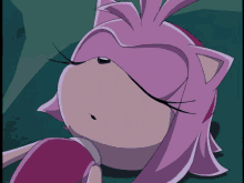 Sonic Sonic X GIF - Sonic Sonic X Amy Rose GIFs