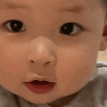 a close up of a baby 's face with his mouth open and his eyes looking at the camera .