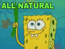 All Natural GIF - All Natural GIFs