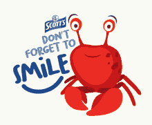 Scotts Scottsmy GIF - Scotts Scottsmy Dont Forget To Smile GIFs