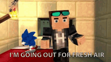 I Am Going Out For Fresh Air Sonic GIF
