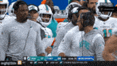 a screenshot of a football game between the miami dolphins and the pittsburgh steelers