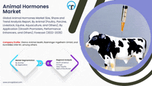 Animal Hormones Market GIF - Animal Hormones Market GIFs
