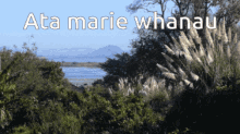 Maketu Mt Maunganui GIF - Maketu Mt Maunganui Papamoa Beach GIFs