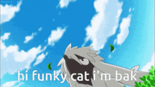 Funky Cat Gc Furfrou GIF - Funky Cat Gc Furfrou GIFs