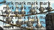 Mark Seagulls GIF - Mark Seagulls Mark Mark Mark GIFs