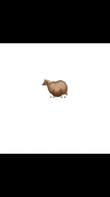 a brown sheep is walking on a white surface .
