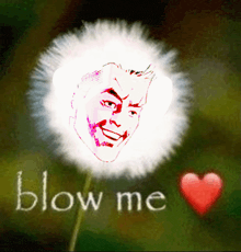 a dandelion with a man 's face on it and the words blow me above it