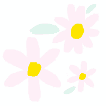 daisy garden flowers bloom spring