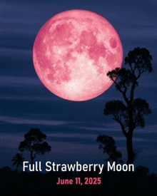 a full strawberry moon is coming in june of 2025