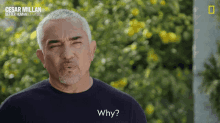a man in a black shirt says why in front of a tree