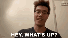 Hey Whats Up Wildturtle GIF