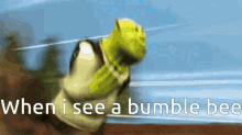 Run Shrek GIF - Run Shrek When I See A Bumble Bee GIFs