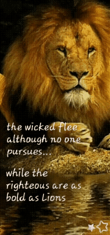 Strong Righteous GIF - Strong Righteous Proverbs GIFs