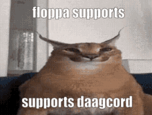 Floppa Supports GIF - Floppa Supports Daagcord GIFs