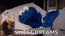 Cookie Monster Sesame Street GIF - Cookie Monster Sesame Street Sleep GIFs
