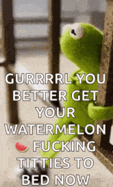 a kermit the frog is leaning against a railing with a watermelon on it