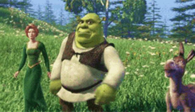 Meme do shrek fazendo careta