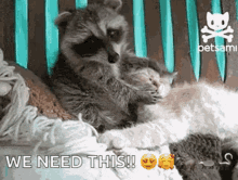 Raccoon Love You Cat GIF - Raccoon Love You Cat Hug GIFs
