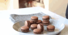 cooking chocolate pastry baking macarons