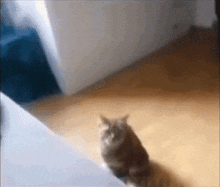 Cat Disconnected GIF - Cat Disconnected Low Battery GIFs