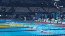 Swimming Wethe15 GIF