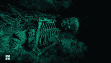 skeleton vagrant