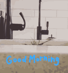 صباح الخير GIF - صباح الخير شمس GIFs