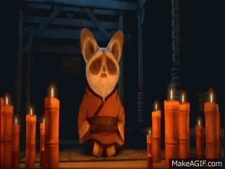 Kung Fu Panda Shifu Meditating