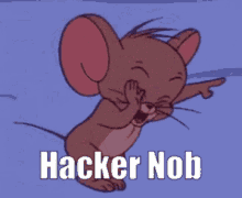 Mineberry_hacker_noob GIF - Mineberry_hacker_noob GIFs