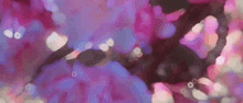 a close up of a purple flower with a blurred background