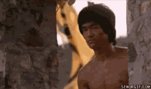 Bruce Lee GIF - Bruce Lee Approve GIFs